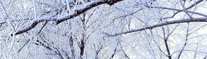 В Свердловскую область придут 34-градусные морозы