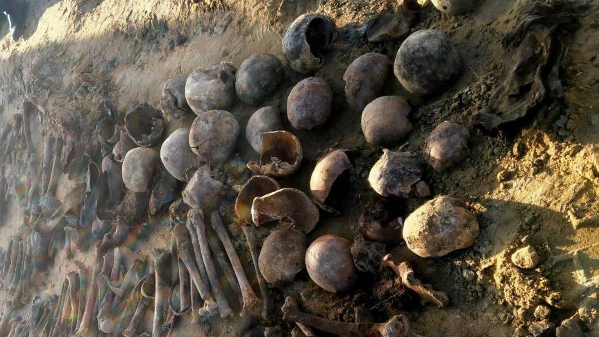Неизвестное массовое захоронение обнаружили в Дагестане
