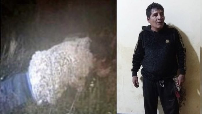 Заключенный прикинулся овцой и попытался сбежать из тюрьмы в Боливии