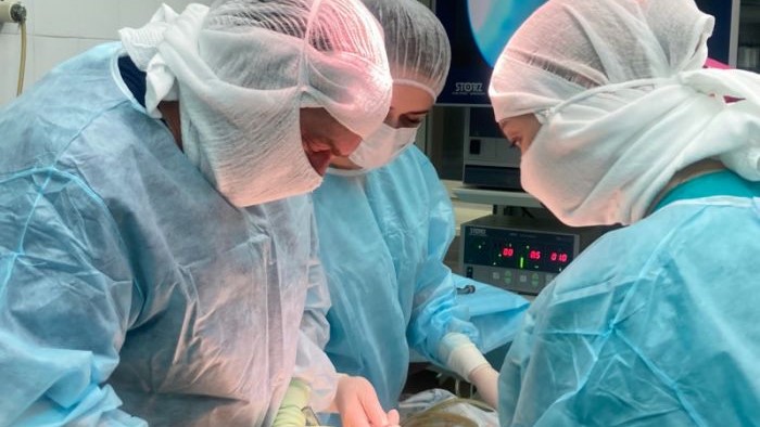 Сургутские хирурги-гинекологи экстренно прооперировали девятилетнюю пациентку с кистой яичника