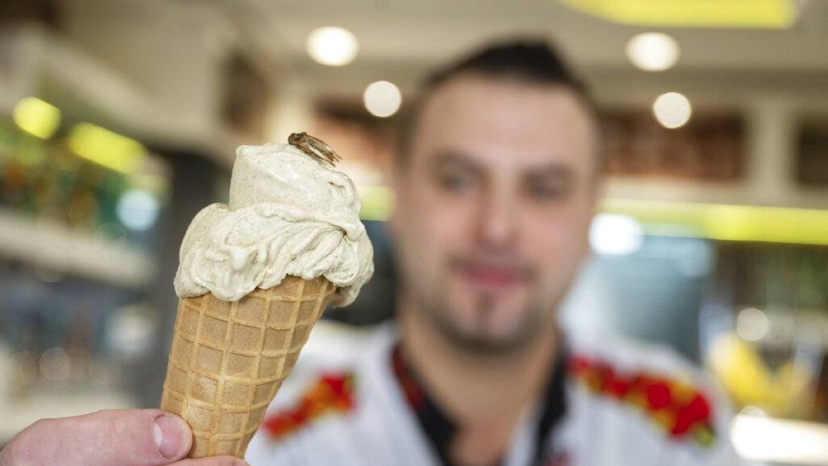 Немецкий кондитер изобрел мороженное со вкусом насекомых