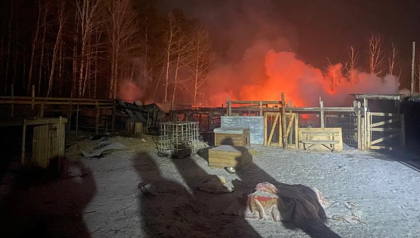 Питомник в Екатеринбурге сгорел вместе с животными