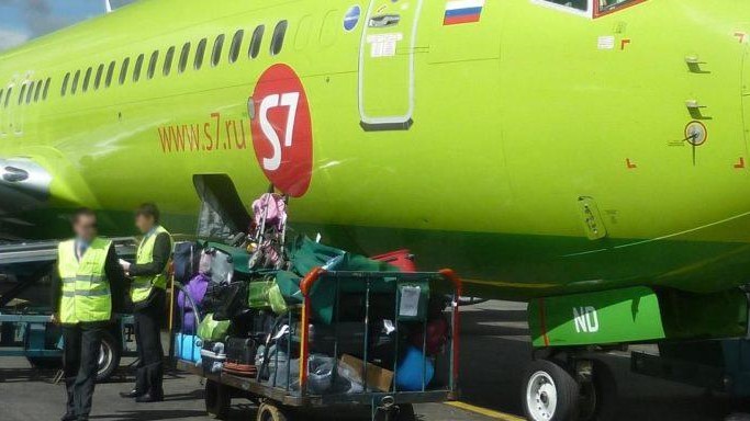 Пассажир хотел улететь из Москвы в багажном отсеке