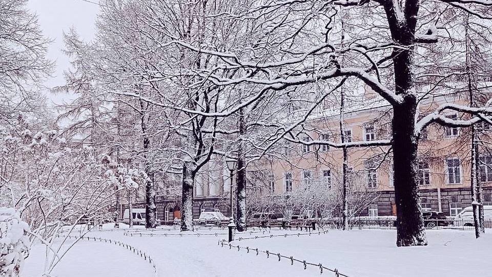 Коммунальщики Петербурга рискуют не справиться с двухдневным апрельским снегопадом