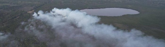 Режим ЧС введен в лесах Свердловской области из-за пожаров
