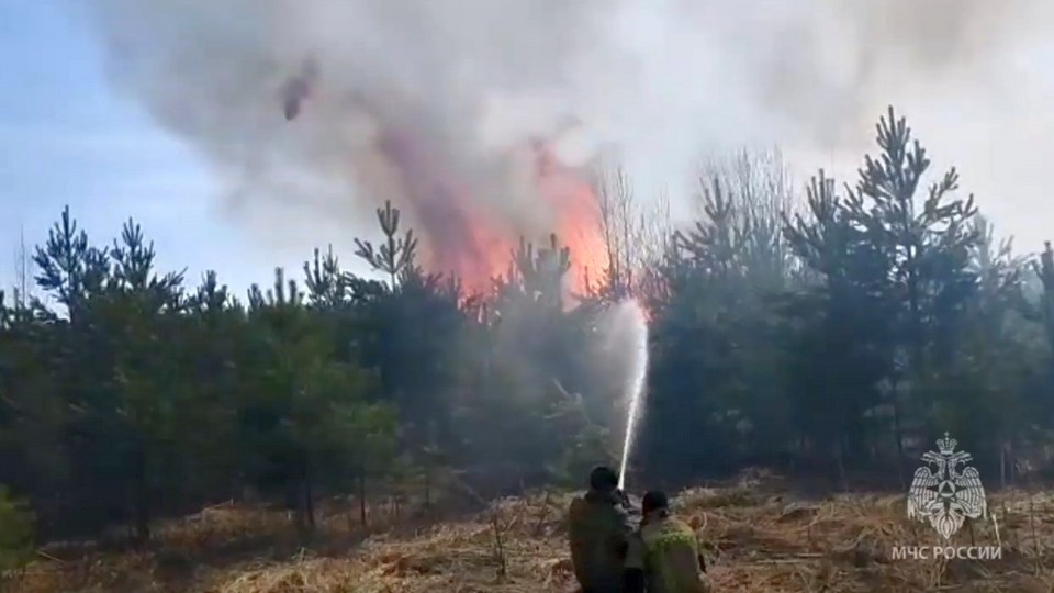 МЧС ликвидировало 33 природных пожара в Свердловской области за сутки