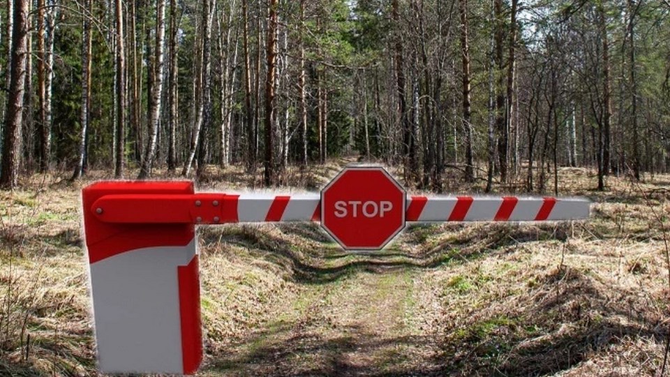 Назван список лесопарков Свердловской области, посещение которых запрещено из-за пожаров