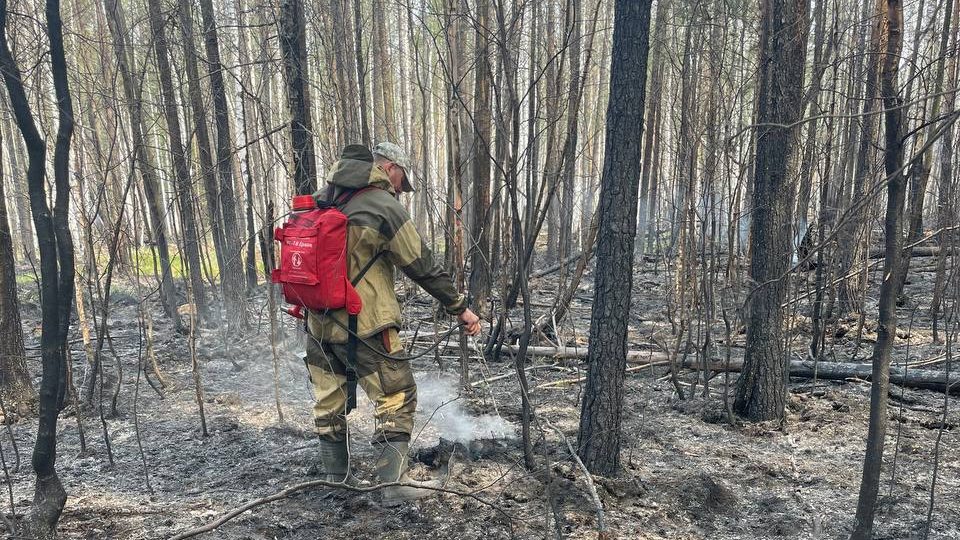 В Свердловской области наградят добровольцев, помогающих тушить пожары