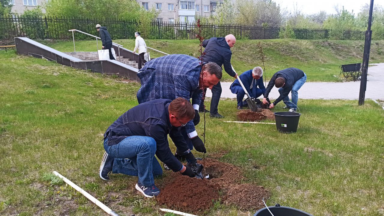 Чиновники высадили яблоневую аллею для пациентов горбольницы в Каменске-Уральском