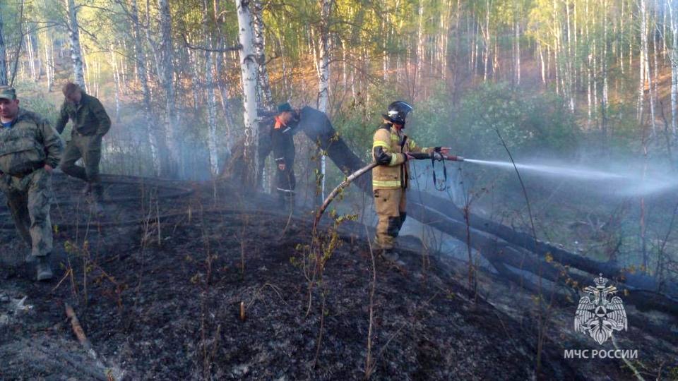 В Свердловской области задержан поджигатель сухой травы