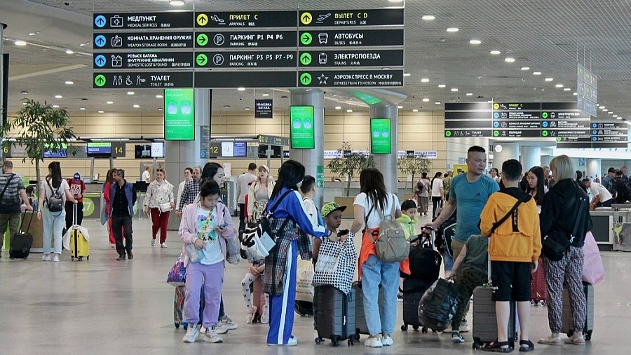 Аэропорт Домодедово открыл "зеленый коридор" для детей