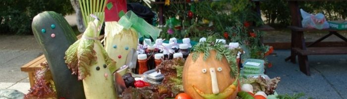 Для сургутских дачников и садоводов проведут конкурс "Дары Севера"