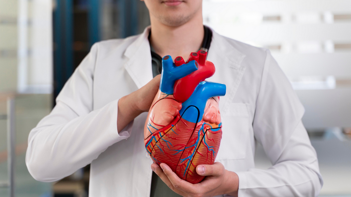 Кардиолог назвал 5 факторов, защищающих сердце