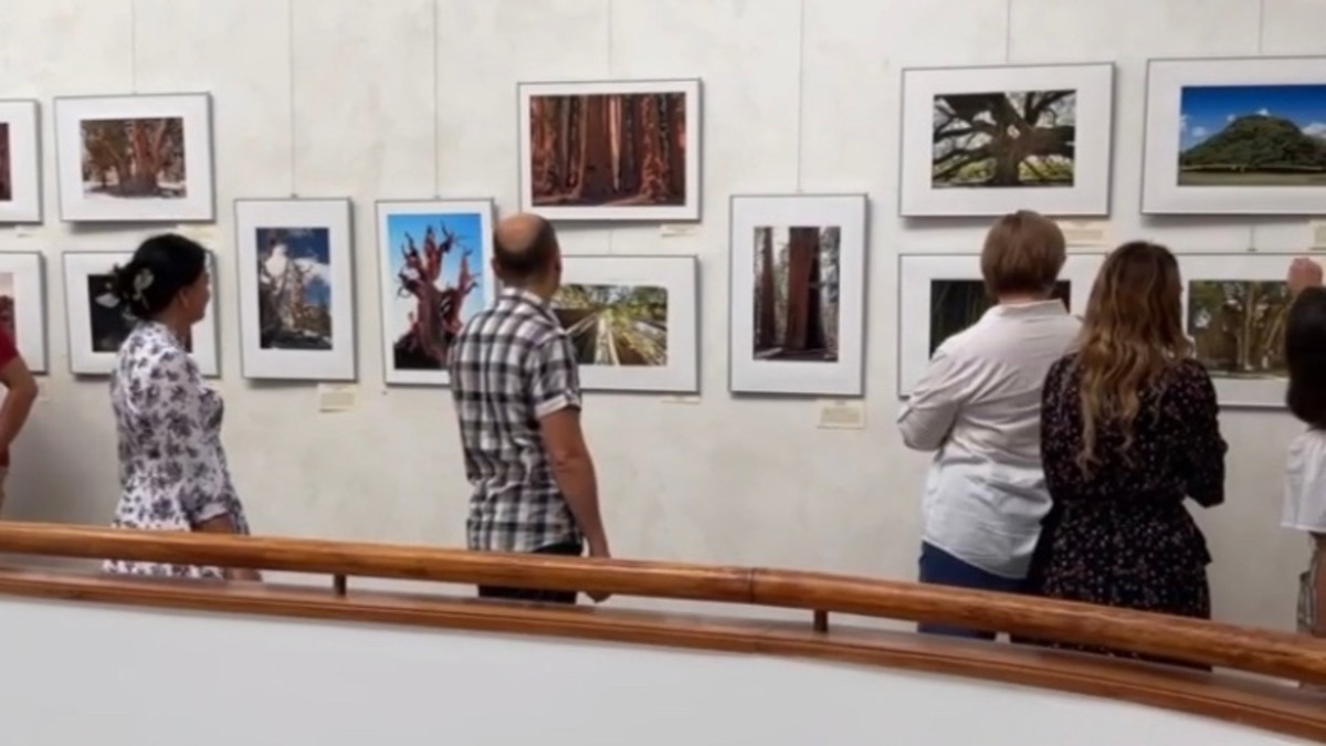 Выставка работ японского фотографа открылась в музее Ханты-Мансийска