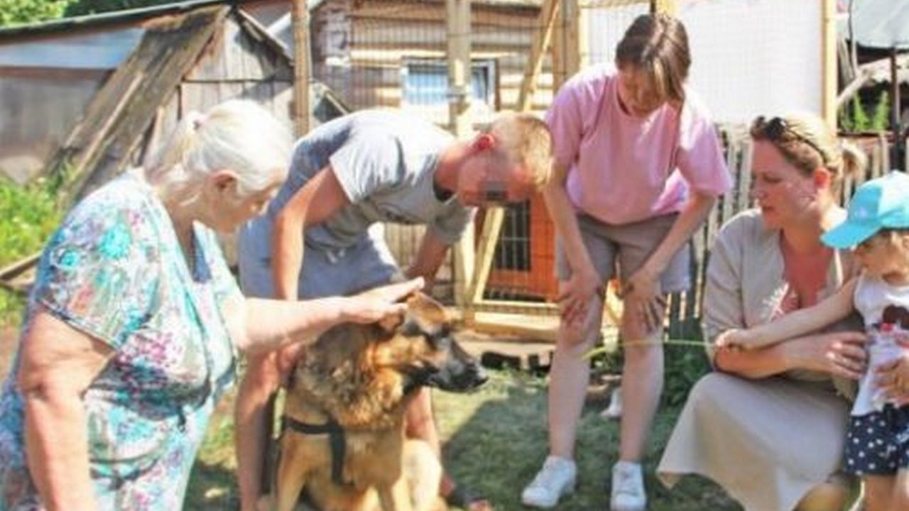 Кот Фугас и пес Пират перебрались из зоны СВО в Башкирию после гибели хозяина