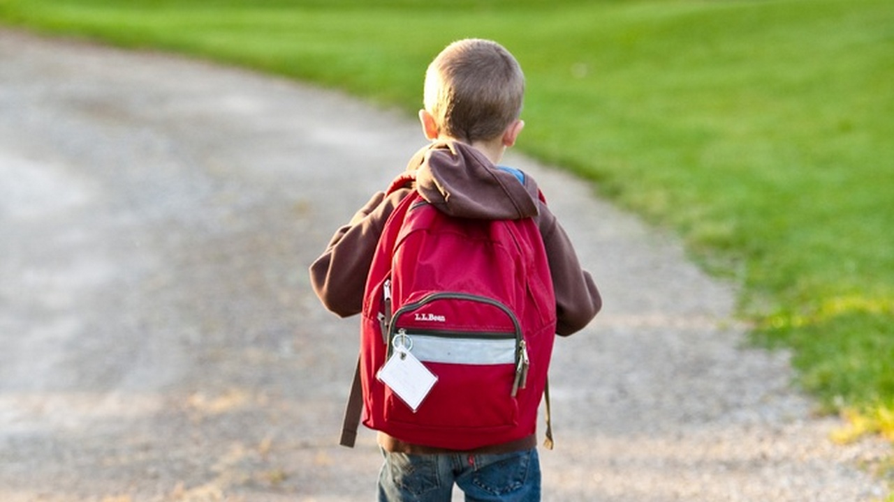 Роспотребнадзор: как правильно выбрать школьный ранец