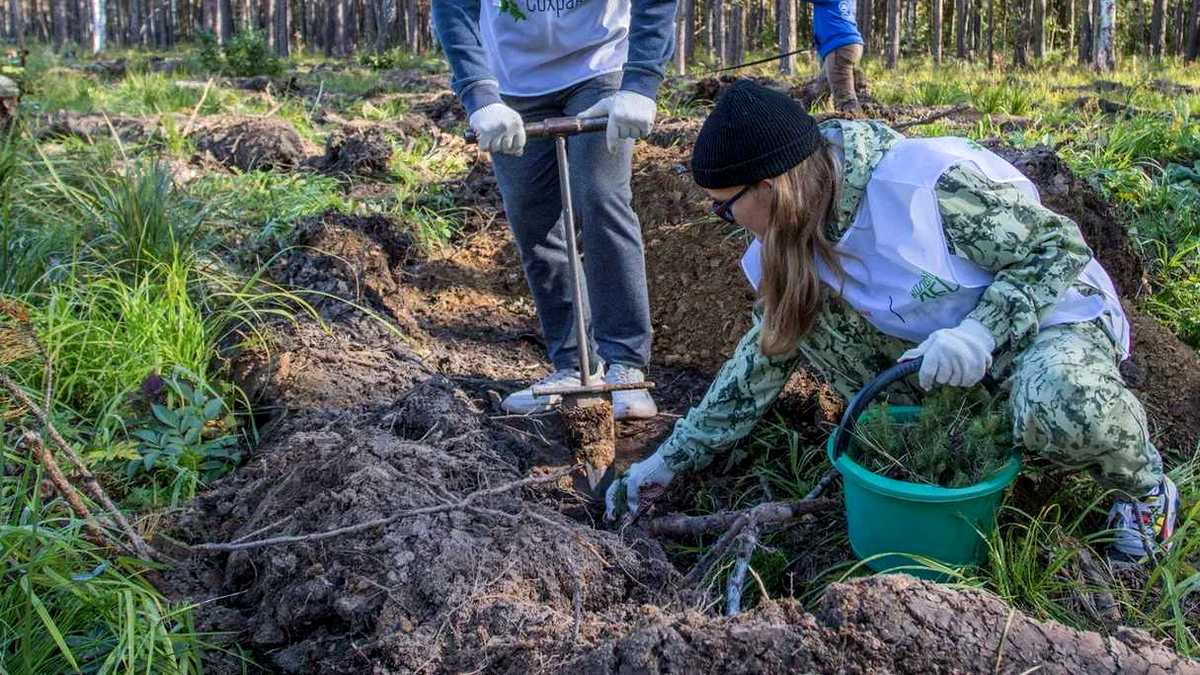 Сотрудники СинТЗ приняли участие в закладке нового леса под Екатеринбургом