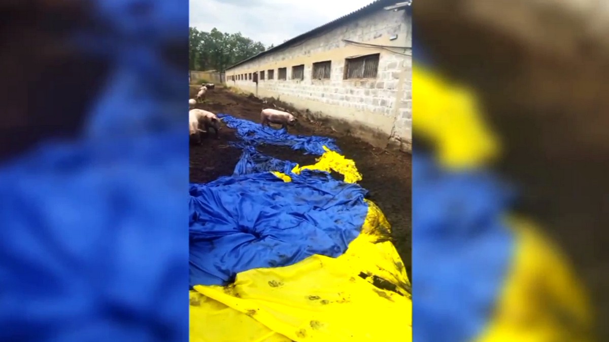 Запущенный ВСУ украинский флаг приземлился в свинарнике под Донецком