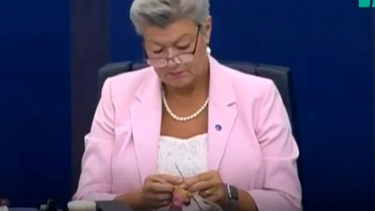 Было слишком скучно: депутат Европарламента села вязать носки во время заседания
