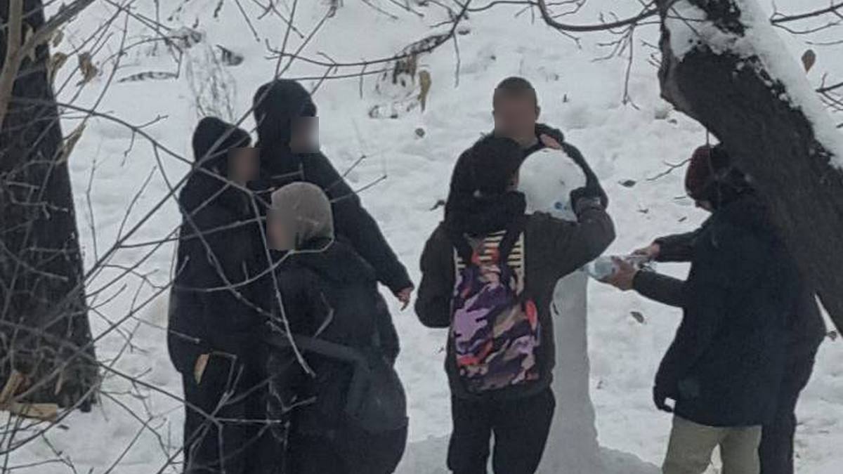 Студентов из Екатеринбурга грозят отчислить за слепленный из снега фаллос