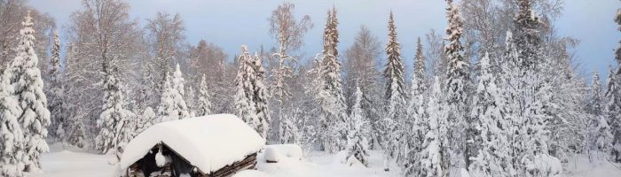 Синоптики пообещали Свердловской области облачную погоду со снегом