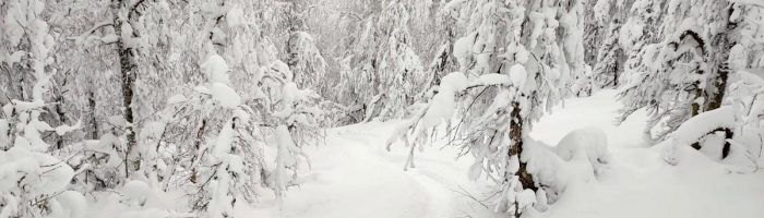 Свердловской области пообещали снегопад, гололед и похолодание