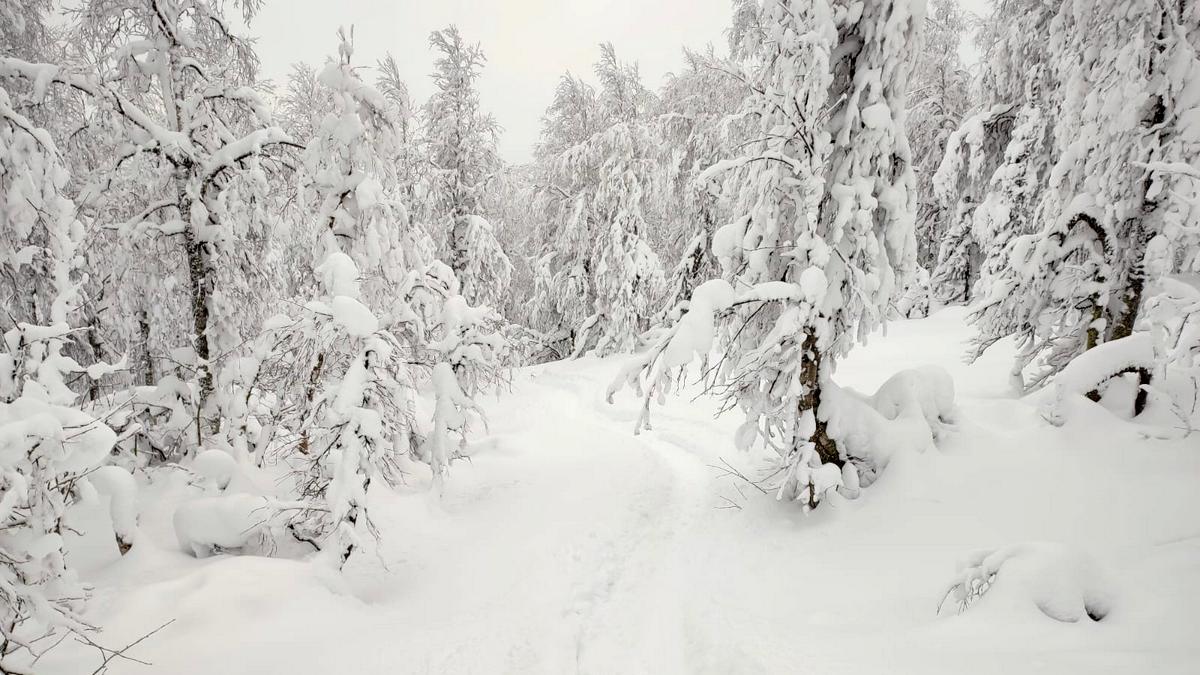Свердловской области пообещали снегопад, гололед и похолодание