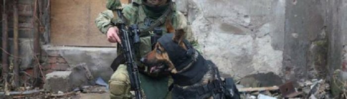 защита для служебных собак