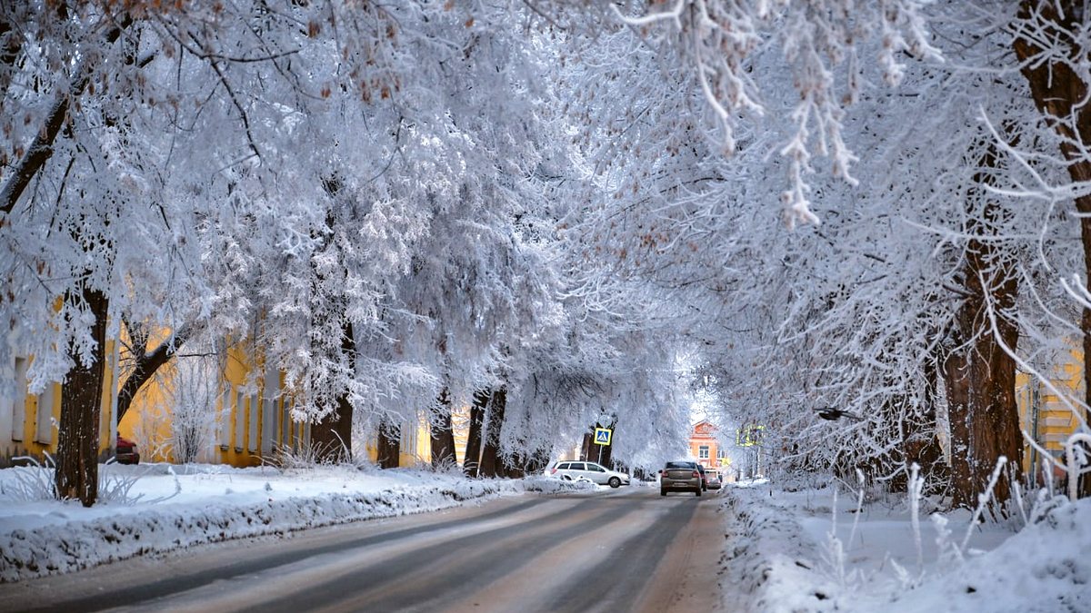 Опубликован прогноз погоды в Свердловской области на новогодние праздники