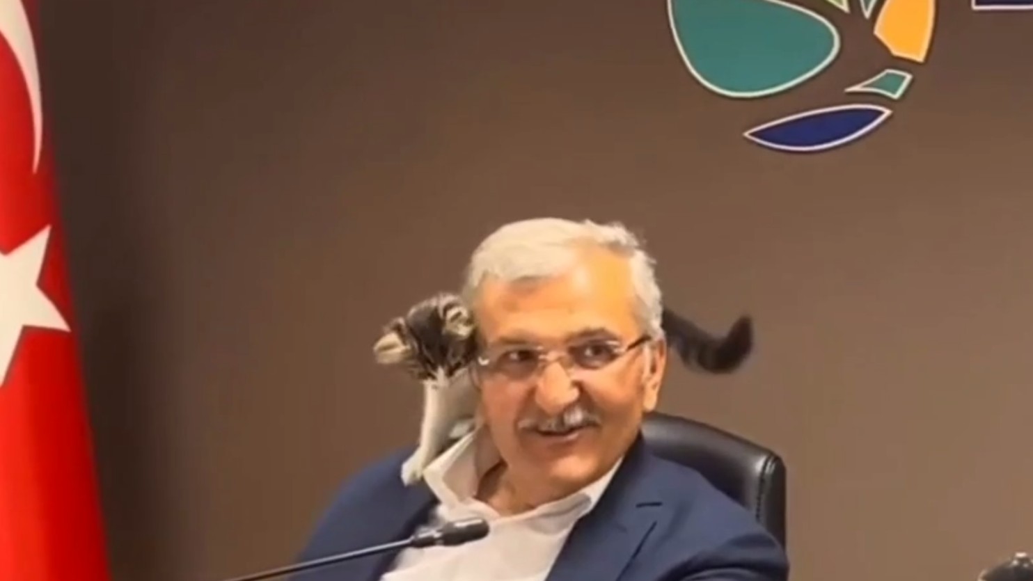 В Турции котенок залез на мэра города во время совещания: видео