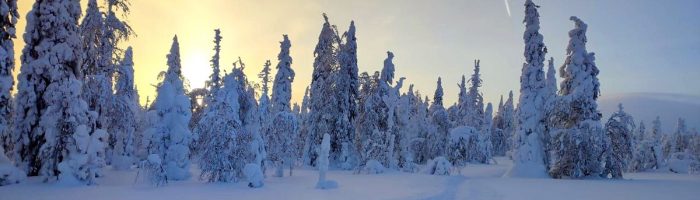 МЧС выпустило предупреждение о сильных снегопадах в Свердловской области