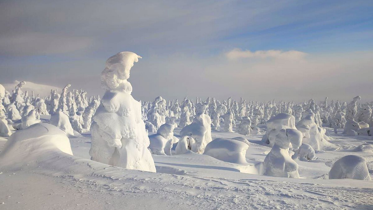 Снегопад придет в Свердловскую область 29 февраля