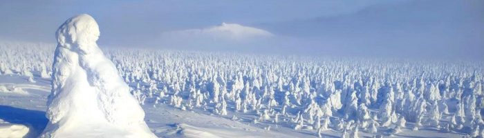 В Свердловской области синоптики пообещали резкие перепады температур