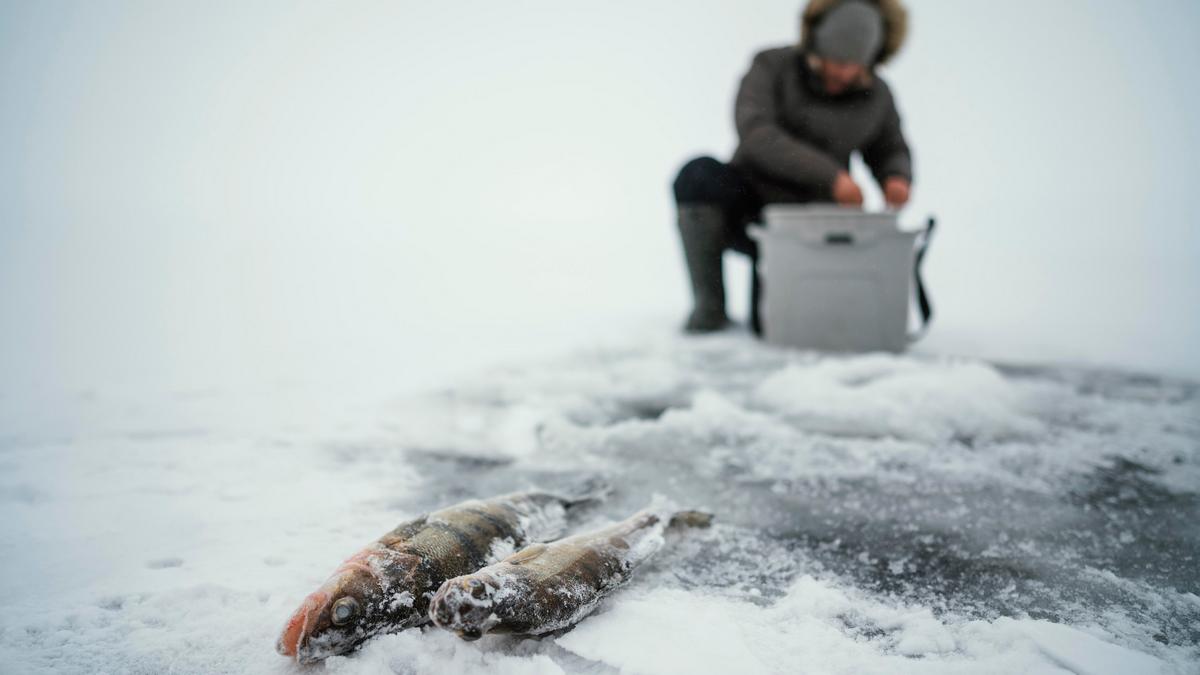 Рыбак провалился под лед и погиб