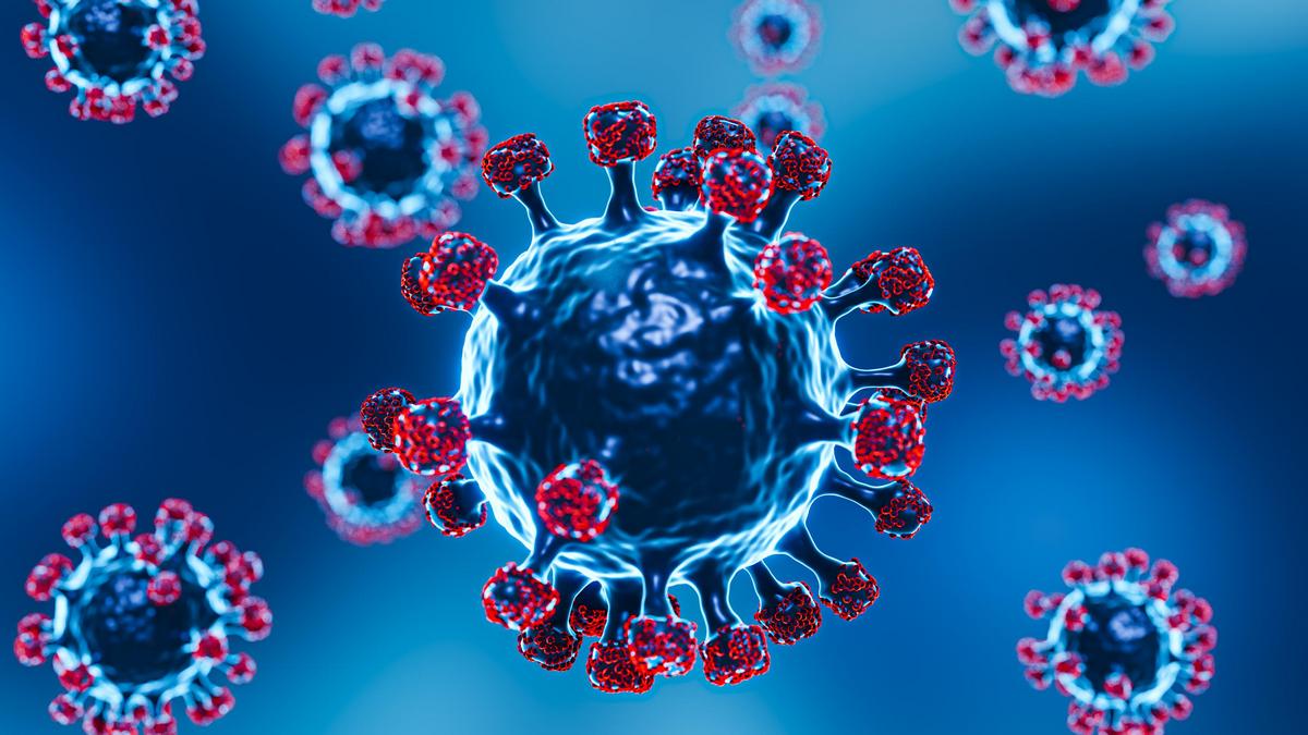 Роспотребнадзор: в России выявлен новый штамм коронавируса FLiRT