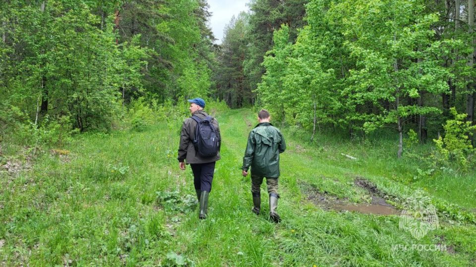 "ЛизаАлерт" скрыл ориентировки на пропавших в Курской области людей