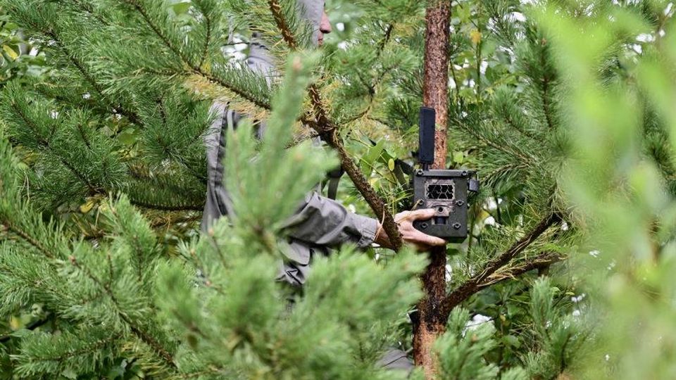 Фотоловушки для поджигателей установят в лесах Свердловской области
