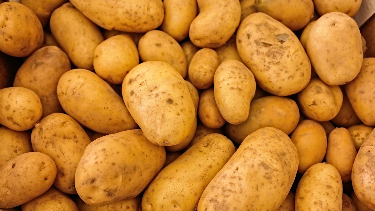Цены на картофель резко взлетели в Свердловской области